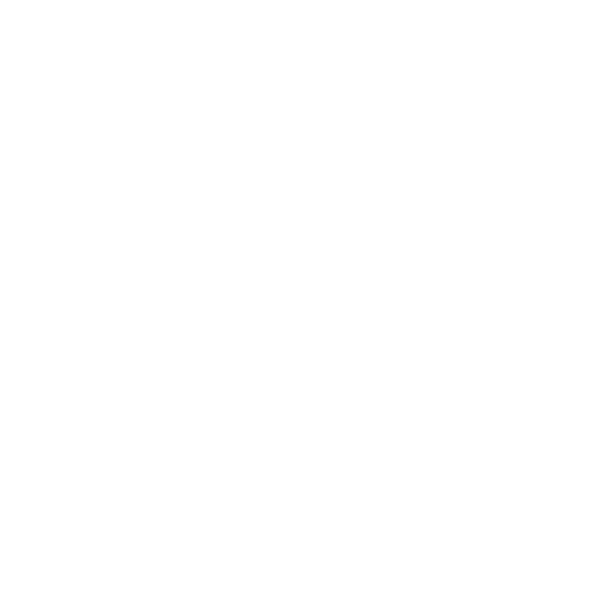 OTANTIK LLC